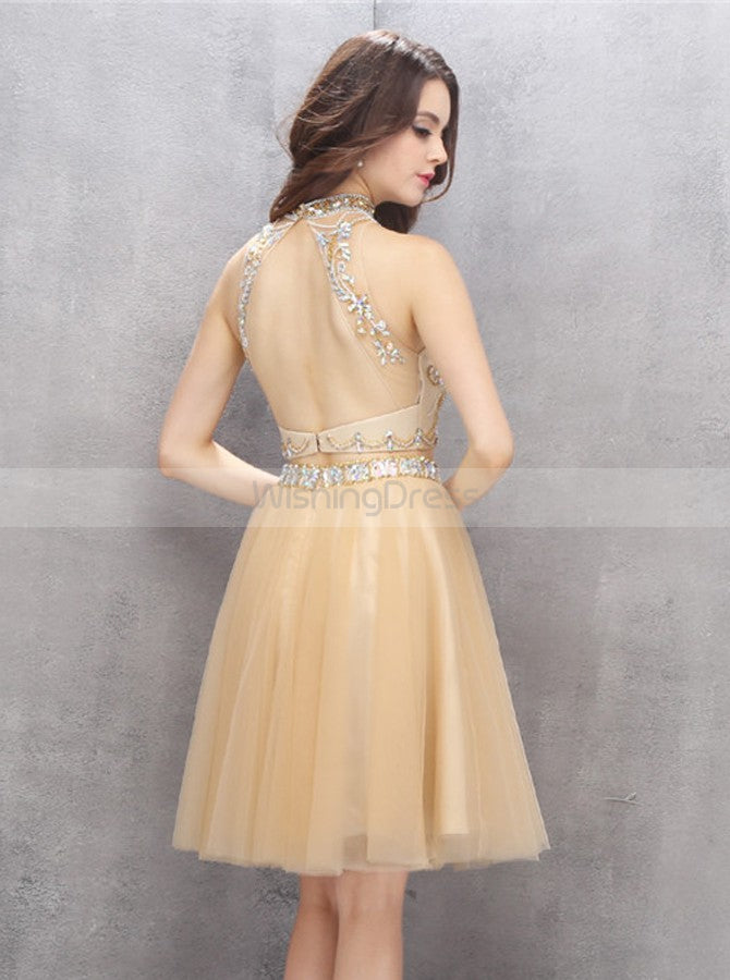 Knee Length Backless Dress