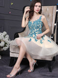 Homecoming Dresses for Teens,Aline Homecoming Dress,Tulle Homecoming Dress,HC00031