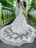 Fit and Flare Wedding Dress,Lace Train Sheer Sleeves Bridal Gown,WD00750